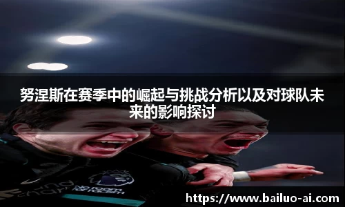努涅斯在赛季中的崛起与挑战分析以及对球队未来的影响探讨